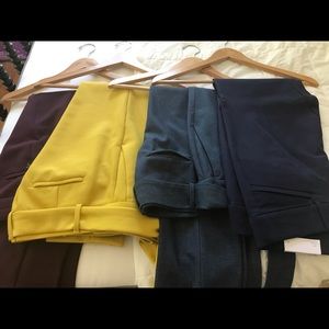 Size 4P Pants from LOFT!